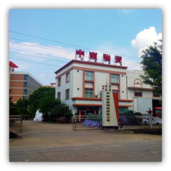 台山市中南物资供销有限公司门口